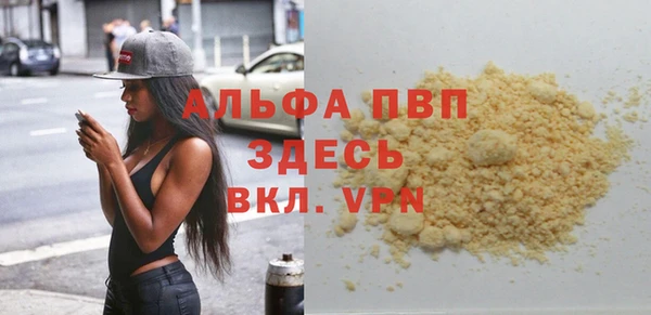 спайс Богданович