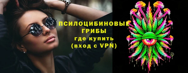 мдпв Богородицк