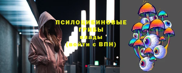 мдпв Богородицк