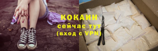 мдпв Богородицк