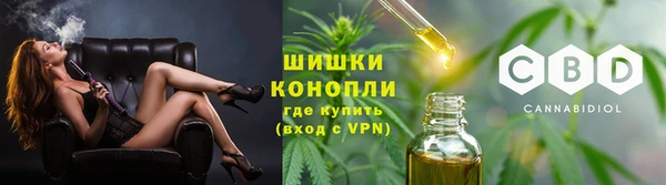спайс Богданович