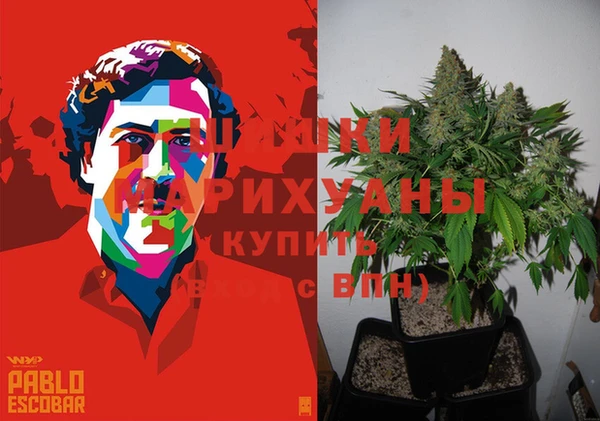 мдпв Богородицк