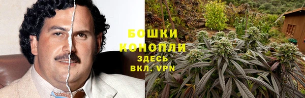 мдпв Богородицк