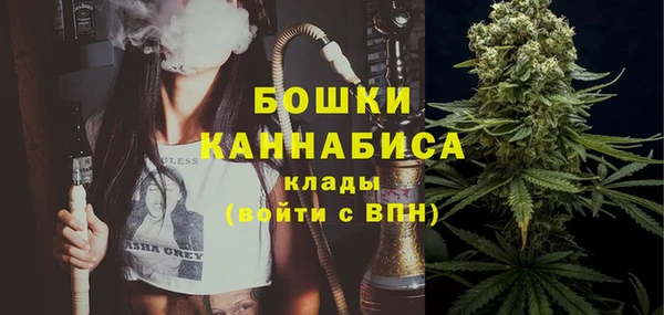 спайс Богданович