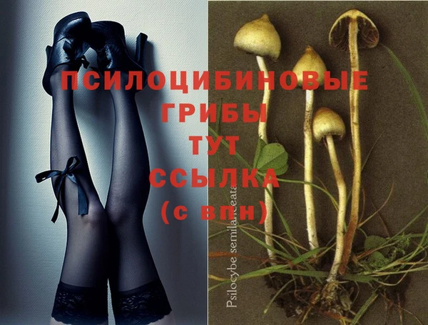 спайс Богданович
