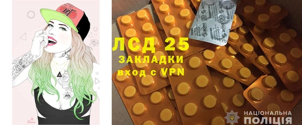 спайс Богданович