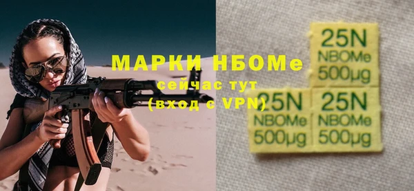мдпв Богородицк