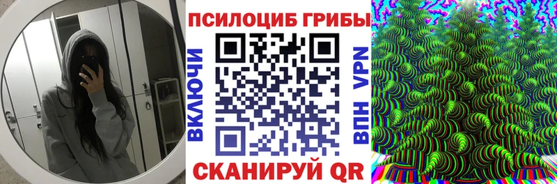 купить закладку  нарко площадка как зайти  Псилоцибиновые грибы GOLDEN TEACHER  Туран 